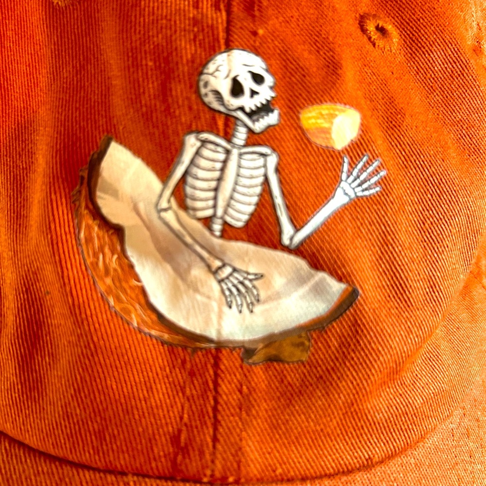 Skeleton Chobani 100% Cotton Burnt Orange Baseball Cap
